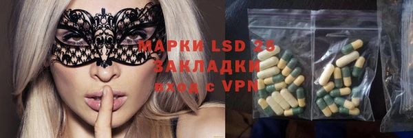 ГАЛЛЮЦИНОГЕННЫЕ ГРИБЫ Балабаново
