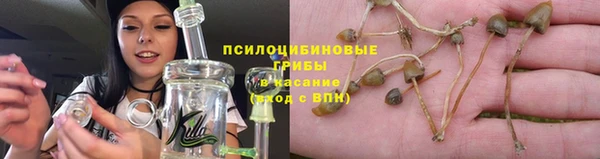 прущие крисы Балахна