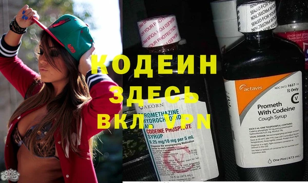 PSILOCYBIN Баксан