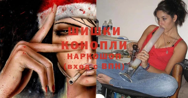 PSILOCYBIN Баксан