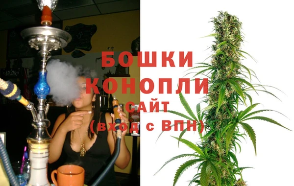 ГАЛЛЮЦИНОГЕННЫЕ ГРИБЫ Балабаново